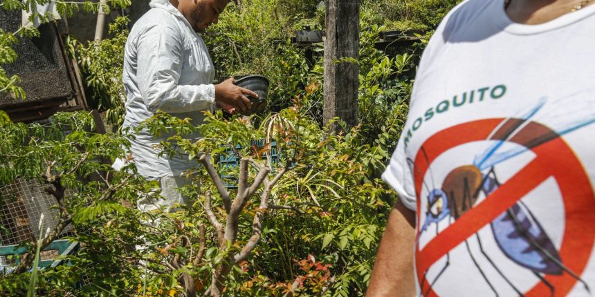 brasil-tem-mais-de-6,5-milhoes-de-casos-provaveis-de-dengue-este-ano