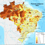 populacao-indigena-no-brasil-cresce-88%-em-12-anos,-aponta-ibge