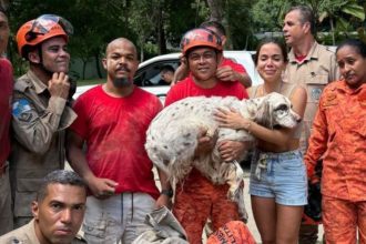 cachorro-da-cantora-anitta-se-assusta-com-fogos,-cava-buraco-na-mansao-e-e-resgatado-por-bombeiros-no-rj