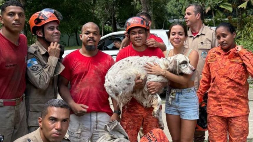 cachorro-da-cantora-anitta-se-assusta-com-fogos,-cava-buraco-na-mansao-e-e-resgatado-por-bombeiros-no-rj