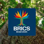 brics-tem-mais-de-40%-da-populacao-e-37%-do-pib-mundiais