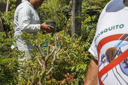 saude-anuncia-novas-tecnologias-de-combate-a-dengue-em-mg