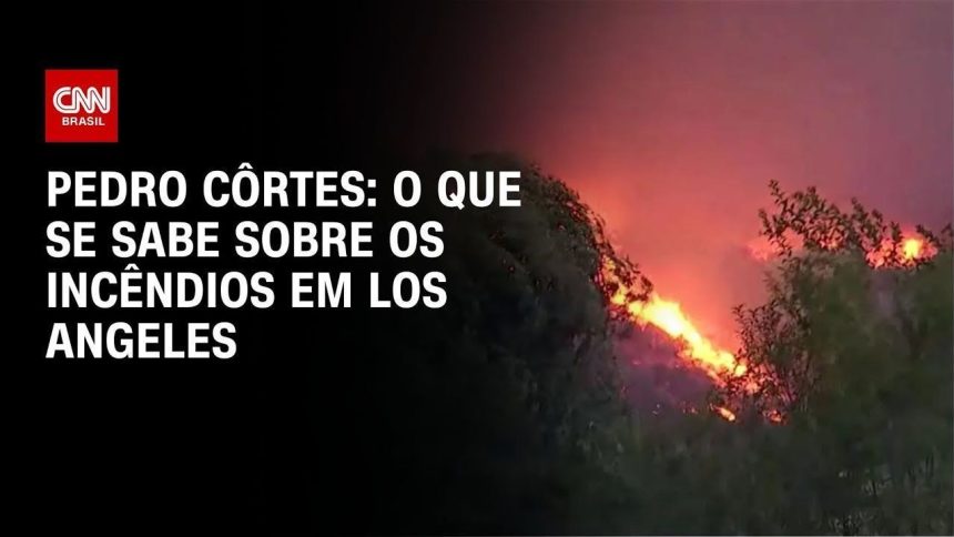 “a-vida-que-voce-tinha-se-foi”,-afetados-pelos-incendios-relatam-perdas