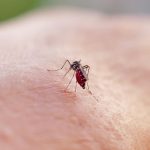 sp-ja-tem-21-cidades-em-estado-de-emergencia-para-dengue-em-2025