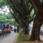 tarifas-de-onibus-e-metro-de-sp-sobem-nesta-segunda-(6);-veja-como-fica-a-integracao