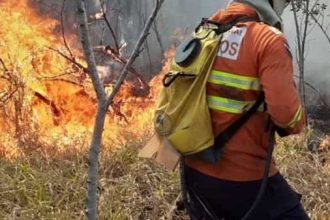 75%-dos-inqueritos-por-queimada-e-desmatamento-na-policia-federal-nao-indiciam-ninguem