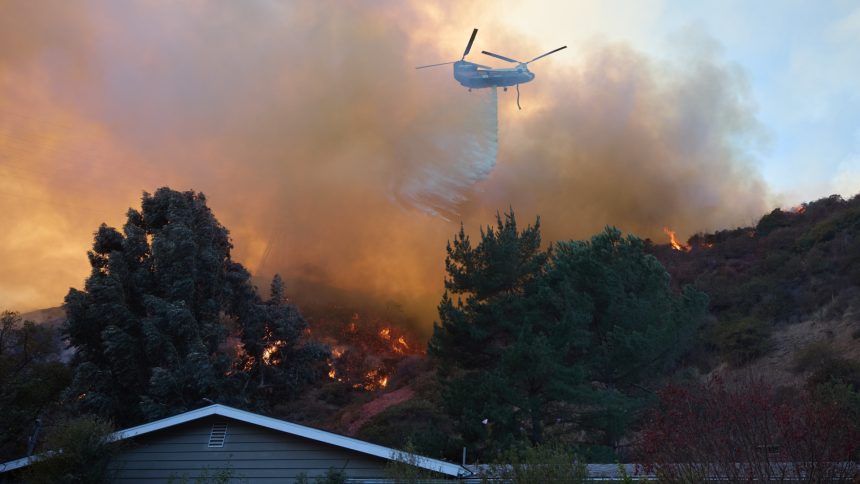 sobe-para-16-o-numero-de-mortos-nos-incendios-florestais-em-los-angeles