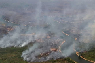 brasil-registra-278,2-mil-focos-de-incendio-no-ano,-pior-numero-desde-2010