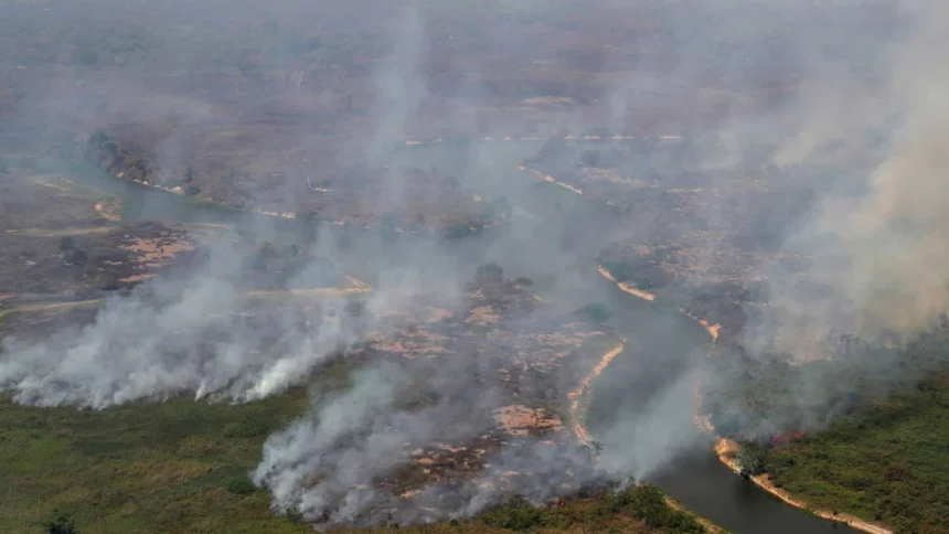 brasil-registra-278,2-mil-focos-de-incendio-no-ano,-pior-numero-desde-2010