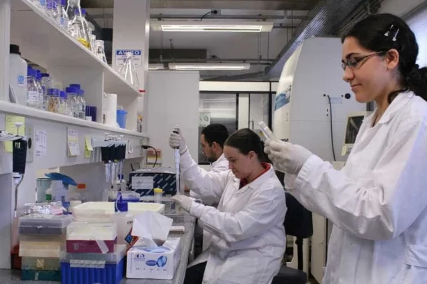 premio-mulheres-e-ciencia-do-cnpq-tem-inscricoes-ate-6-de-janeiro