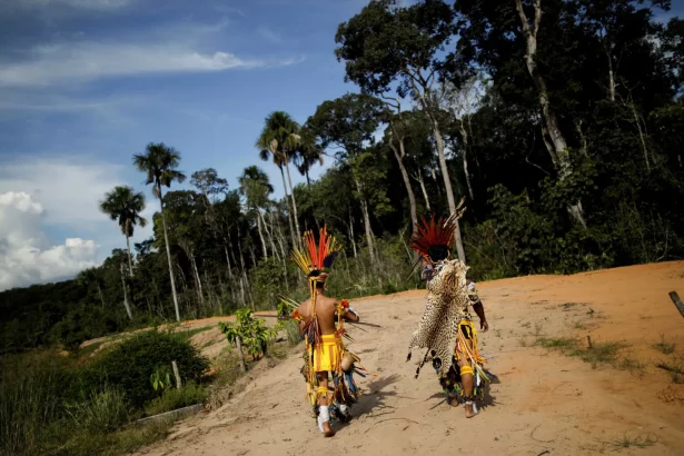 lula-assina-demarcacao-de-tres-novas-terras-indigenas,-em-santa-catarina-e-paraiba