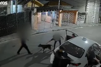 mulher-ve-familia-ser-assaltada,-vai-em-casa-e-solta-seu-pitbull;-video