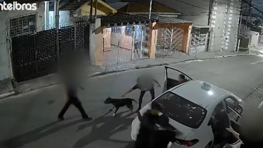 mulher-ve-familia-ser-assaltada,-vai-em-casa-e-solta-seu-pitbull;-video