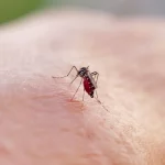 governo-de-sao-paulo-realiza-‘dia-d’-de-combate-a-dengue