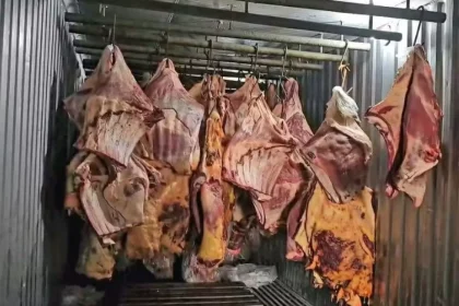 empresa-vendeu-800-toneladas-de-carne-podre-submersa-na-enchente-do-rs