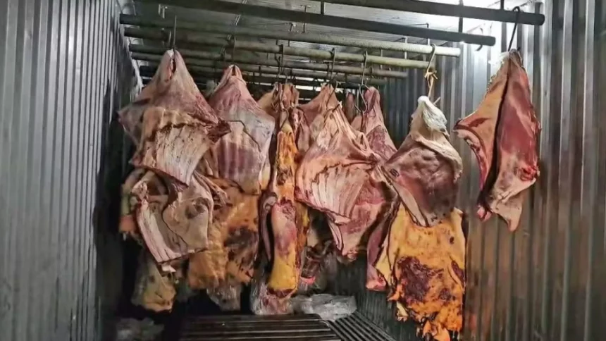 empresa-vendeu-800-toneladas-de-carne-podre-submersa-na-enchente-do-rs