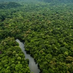 amazonia:-governo-federal-destinara-r$-700-mi-para-combater-desmatamento-e-recuperar-areas