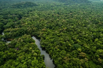 amazonia:-governo-federal-destinara-r$-700-mi-para-combater-desmatamento-e-recuperar-areas