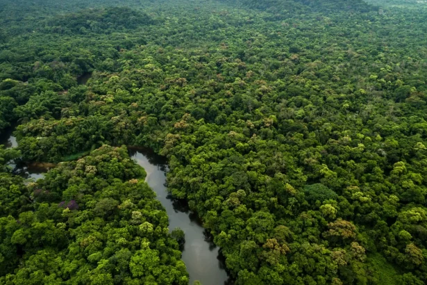 amazonia:-governo-federal-destinara-r$-700-mi-para-combater-desmatamento-e-recuperar-areas