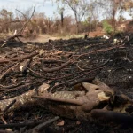 exercito-e-multado-em-r$-6,5-milhoes-por-incendio-no-parque-nacional-do-itatiaia