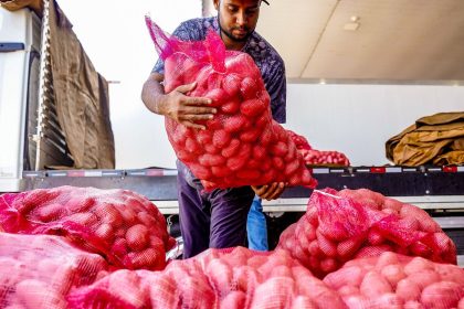 conab-aponta-queda-de-preco-da-batata-e-alta-da-cebola-e-tomate