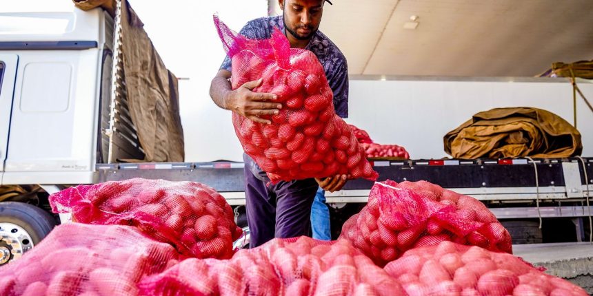 conab-aponta-queda-de-preco-da-batata-e-alta-da-cebola-e-tomate