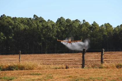 piloto-morre-apos-aeronave-de-pulverizacao-agricola-cair-em-mg