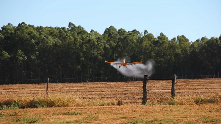 piloto-morre-apos-aeronave-de-pulverizacao-agricola-cair-em-mg