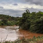 estudo-detecta-presenca-de-metais-na-urina-de-criancas-em-brumadinho