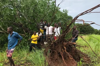 sobe-para-70-numero-de-mortos-pelo-ciclone-chido-em-mocambique