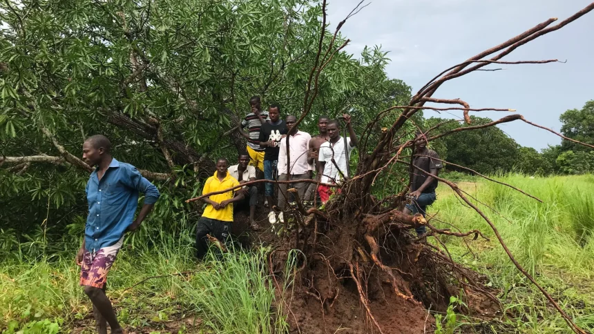 sobe-para-70-numero-de-mortos-pelo-ciclone-chido-em-mocambique