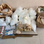 rondesp-apreende-60-kg-de-drogas-e-causa-prejuizo-de-r$-2,5-milhoes-ao-trafico