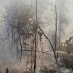 bombeiros-combatem-mais-de-300-focos-de-incendio-em-meio-a-onda-de-calor-no-rio