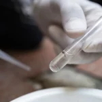 estado-de-sao-paulo-decreta-emergencia-por-dengue