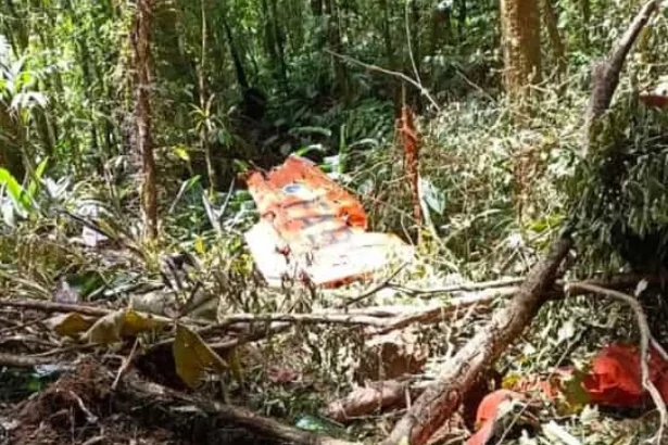 aviao-de-pequeno-porte-cai-em-plantacao-no-para-e-deixa-dois-feridos