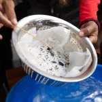 janeiro-de-2025-ja-e-o-segundo-com-mais-mortes-causadas-por-dengue-no-pais