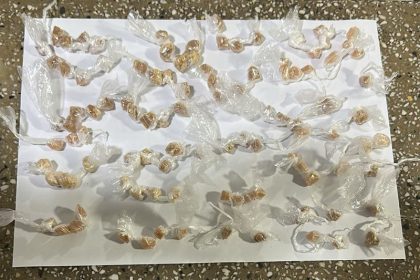 pm-apreende-menor-por-ato-infracional-analogo-ao-trafico-de-drogas-em-teixeira