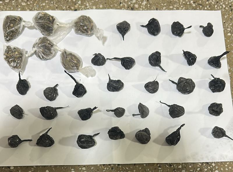 policia-militar-apreende-drogas-no-santos-guimaraes-em-teixeira-de-freitas