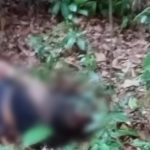 jovem-desaparecido-e-encontrado-decapitado-em-teixeira-de-freitas