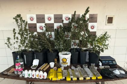 operacao-policial-em-teixeira-apreende-drogas-e-materiais-para-cultivo