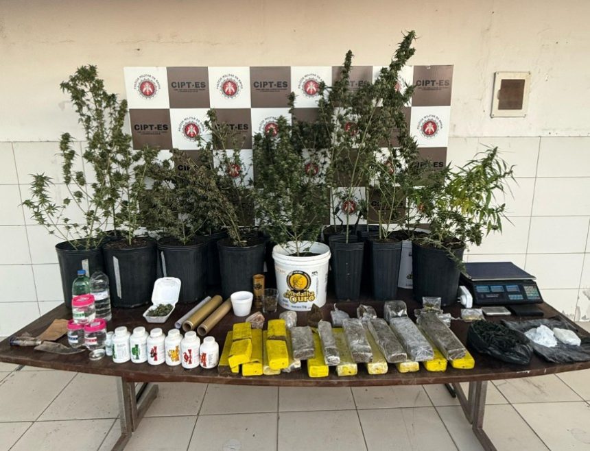operacao-policial-em-teixeira-apreende-drogas-e-materiais-para-cultivo