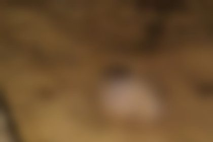 policia-investiga-se-cabeca-encontrada-em-alcobaca-e-de-teixeirense