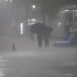 temporal-em-sp-derruba-158-arvores,-mata-1-e-deixa-173-mil-sem-luz