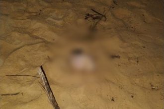pericia-confirma-que-cabeca-encontrada-em-alcobaca-e-de-jovem-desaparecido