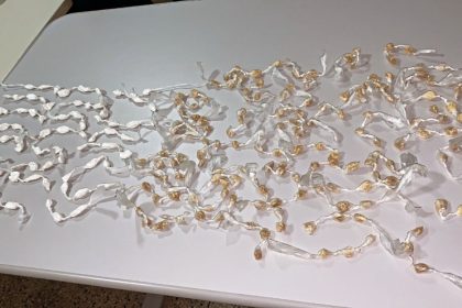 policia-realiza-apreensao-de-drogas-durante-abordagem-em-medeiros-neto