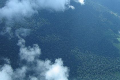 petrobras-comprara-r$-450-milhoes-em-creditos-de-carbono-na-amazonia