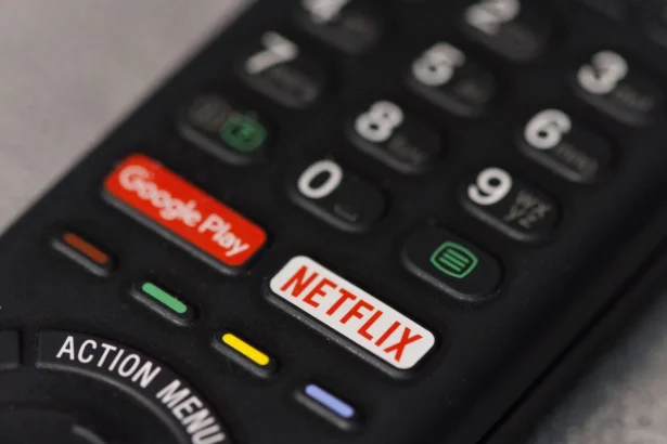 netflix-quer-bancar-cinemas-em-instituicoes-de-ensino-e-acoes-pro-turismo-no-brasil