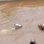 videos-mostram-vacas-sendo-arrastadas-por-enchente-no-rj