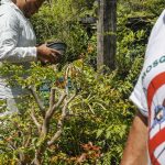 dengue:-sp,-mg-e-pr-concentram-73%-dos-casos-e-86%-dos-obitos