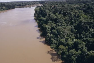 rio-madeira-esta-perto-da-cota-de-inundacao-em-rondonia